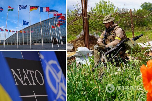 'Ястребы, голуби и страусы': страны НАТО разделились в видении пути завершения войны в Украине