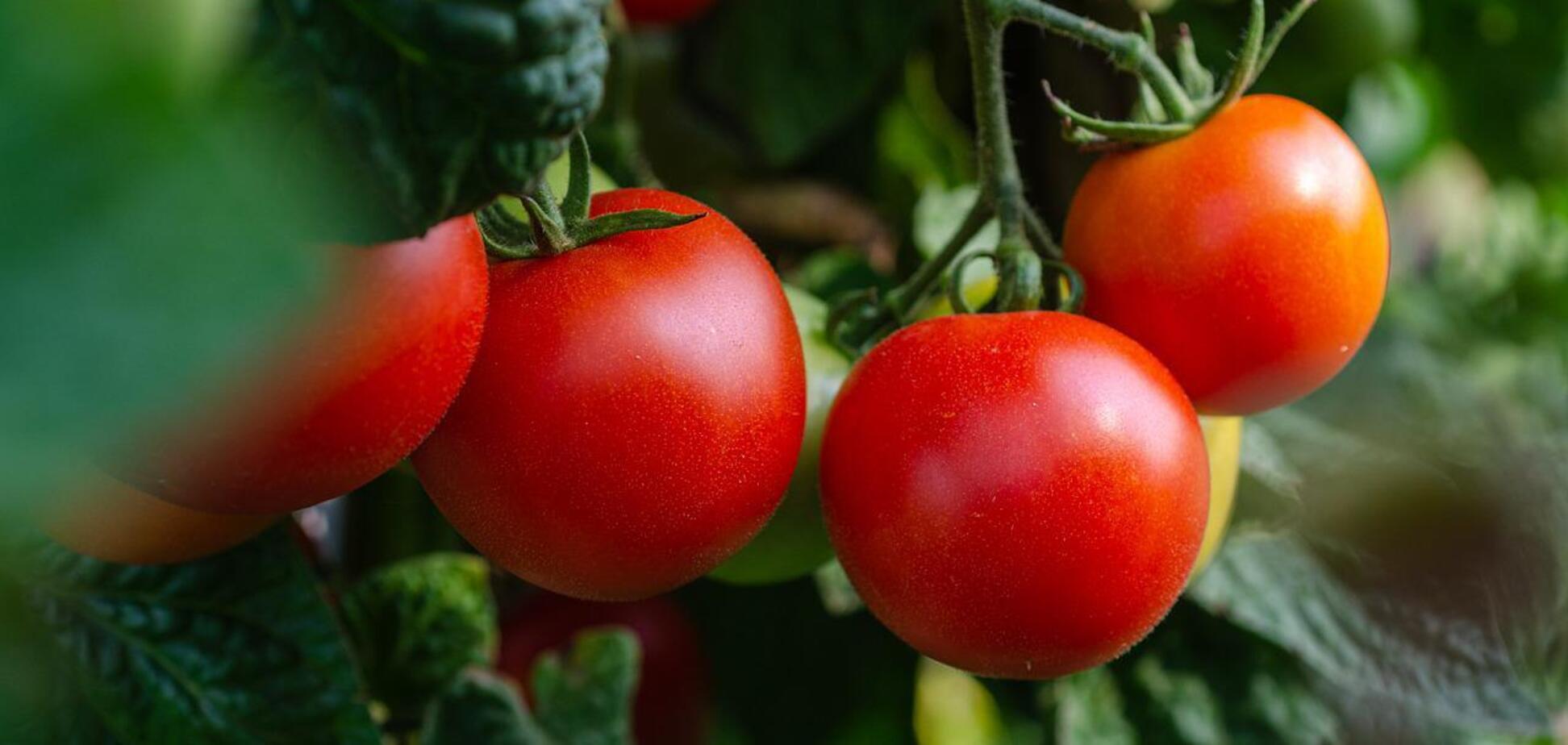 Маринованные помидоры с секретным ингредиентом: долго хранятся и не скисают