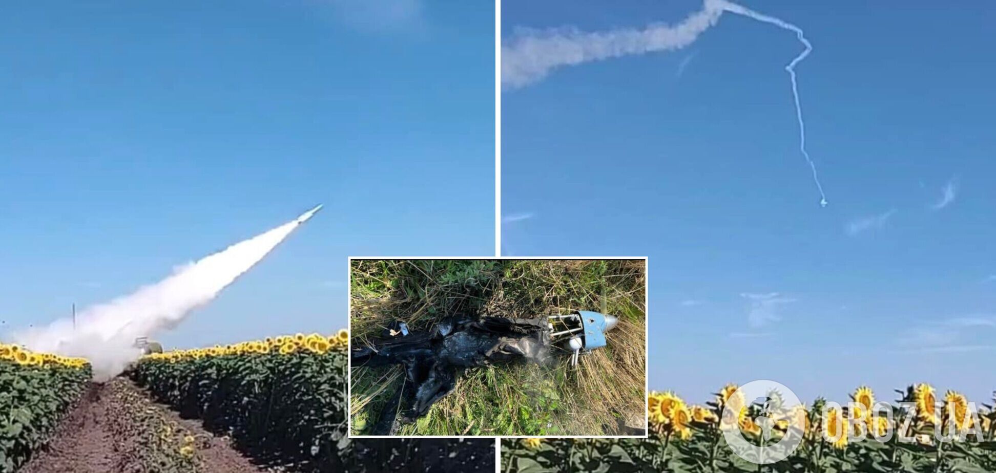 Українські захисники 'приземлили' російський безпілотник 'Птеро'