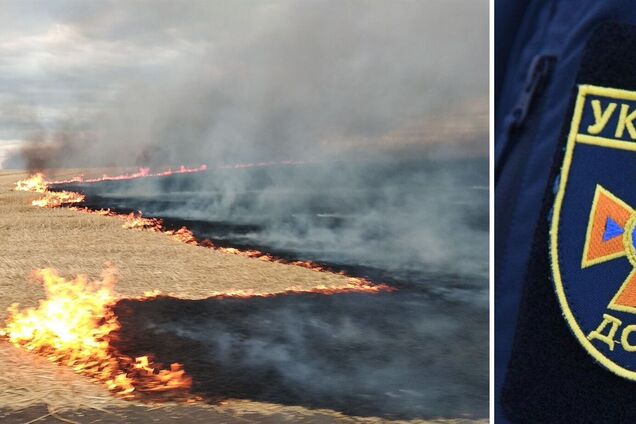 В Донецкой области из-за обстрелов РФ занялось поле пшеницы: выгорели 150 га. Фото