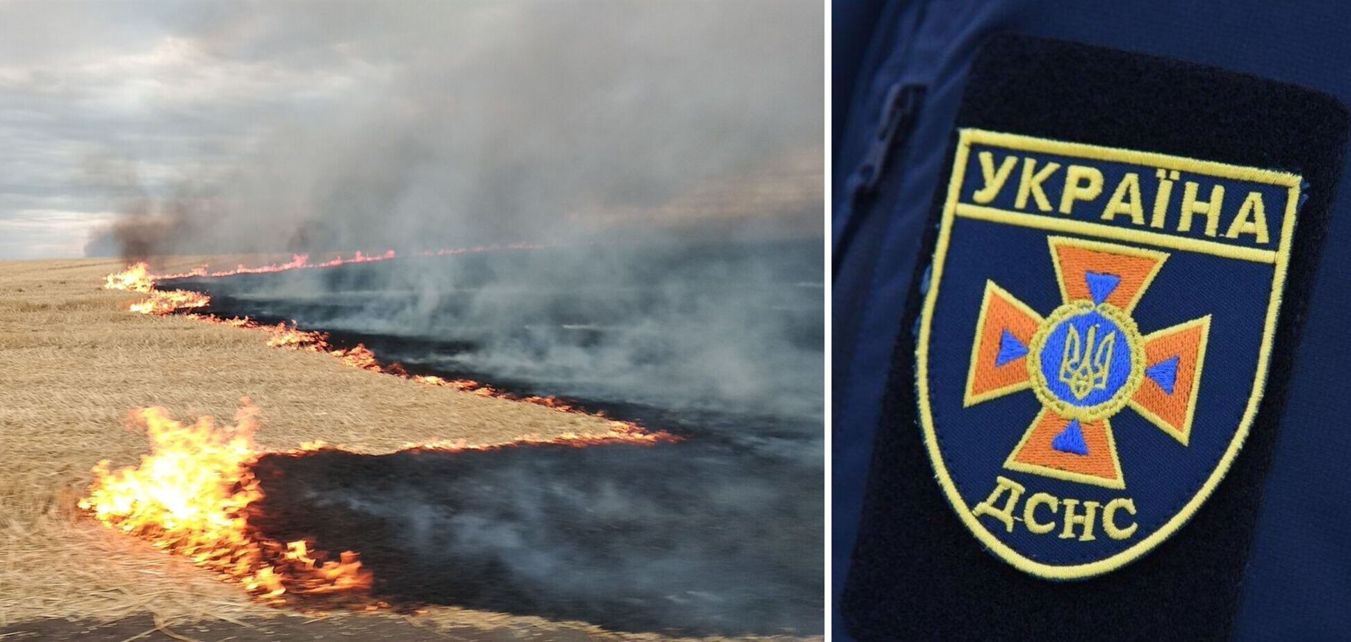 В Донецкой области из-за обстрелов РФ занялось поле пшеницы: выгорели 150 га. Фото