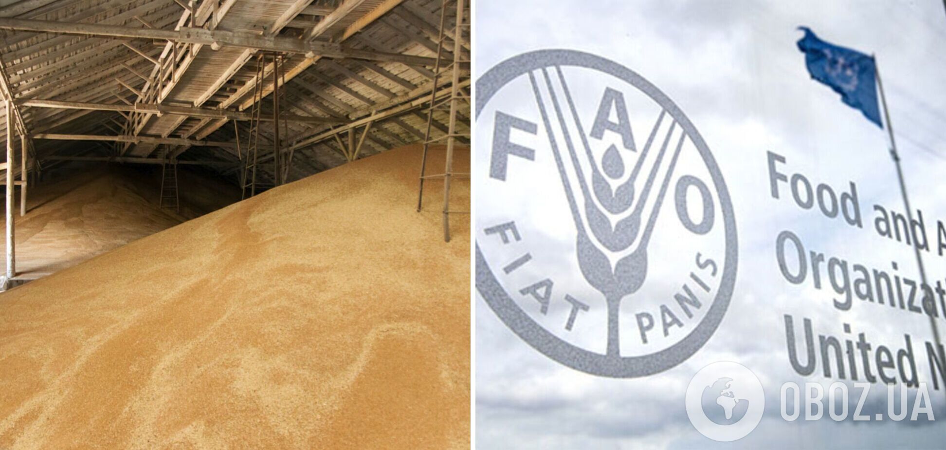 FAO оголосить тендер на закупівлю обладнання для зберігання зерна