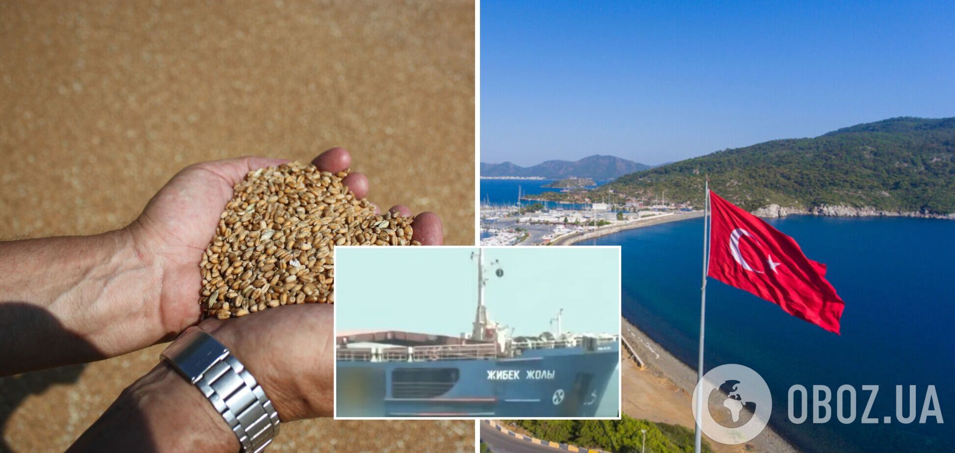 Турция отпустила судно, которое везло украинское зерно