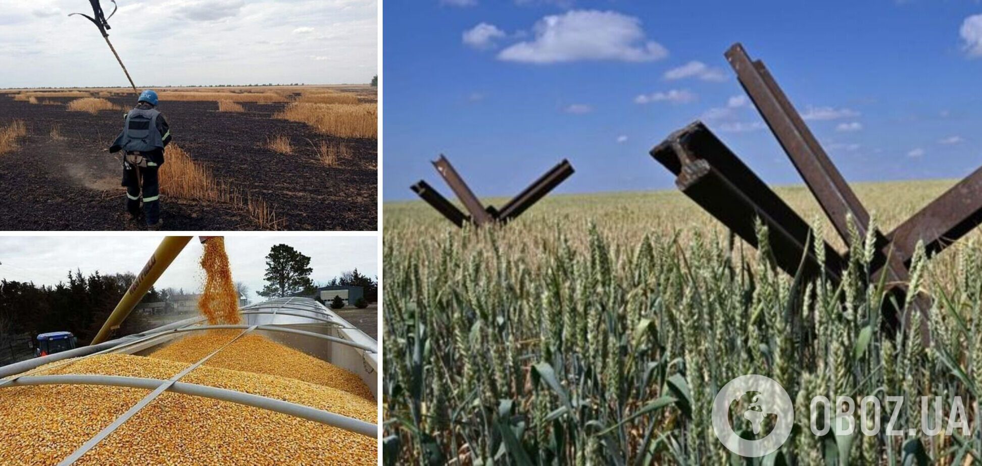 Ворог спалює українські поля із зерном, застосовуючи фосфорні бомби: що буде з урожаєм