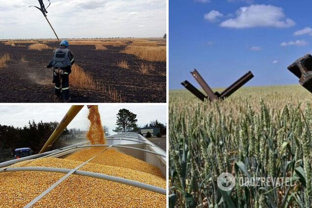 Враг сжигает украинские поля с зерном, используя фосфорные бомбы: что будет с урожаем