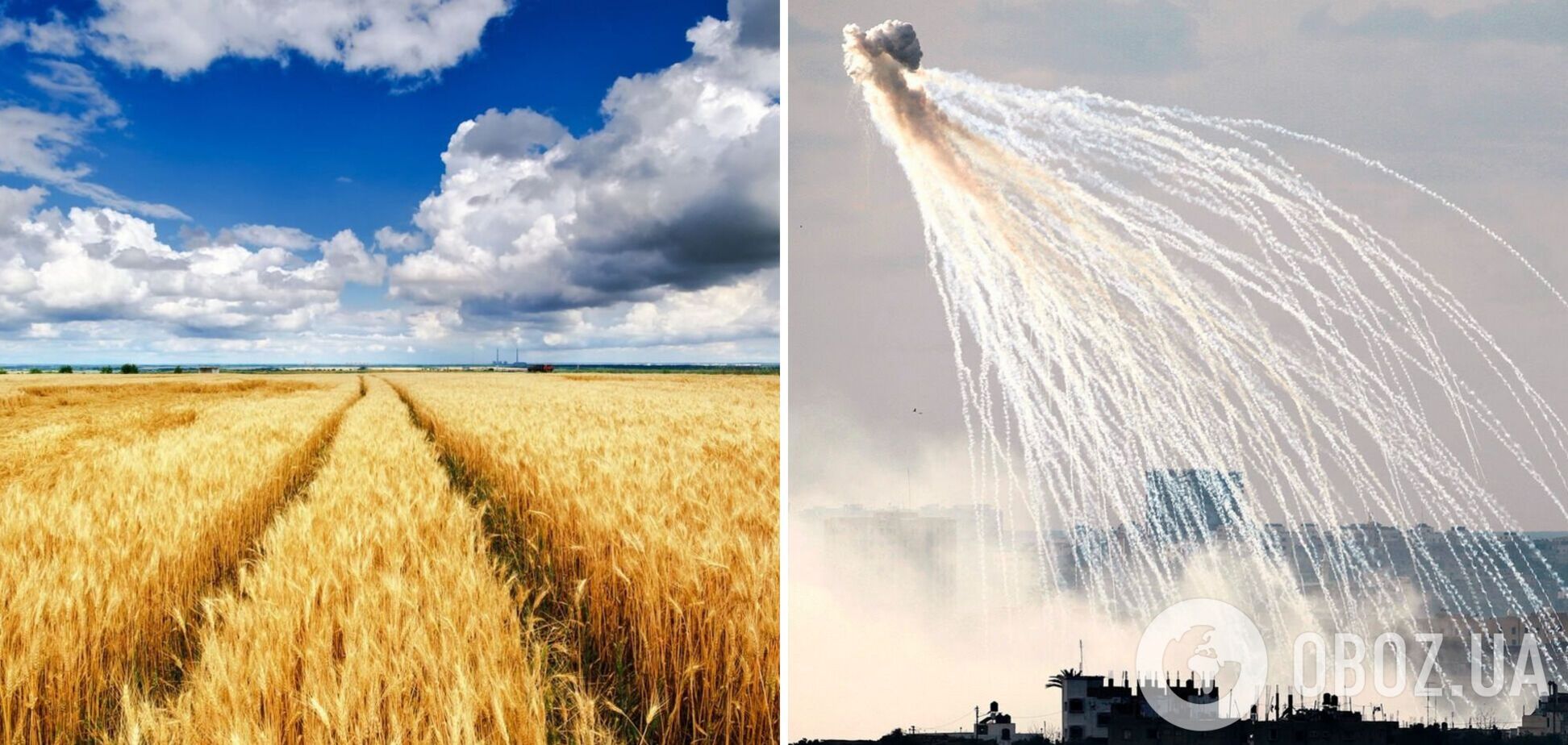 На Запорожье оккупанты намеренно выжигают фосфорными бомбами пшеничные поля