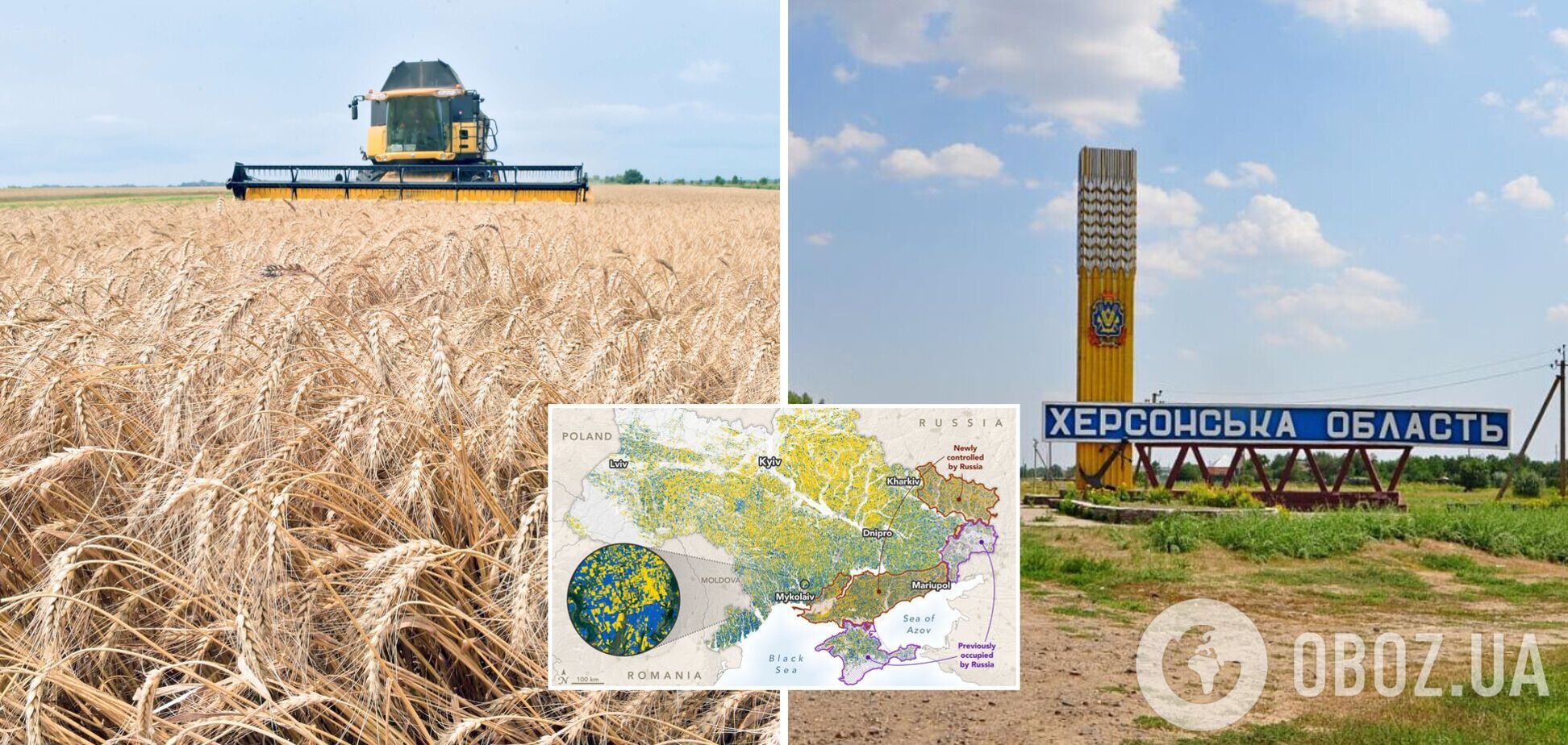 Больше четверти полей с озимыми оказались в оккупации