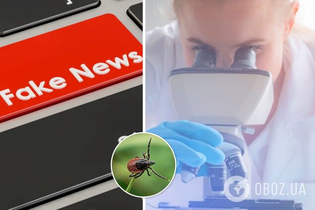 В РФ запустили фейк про опасных клещей, которых 'изучали' американские ученые в Украине