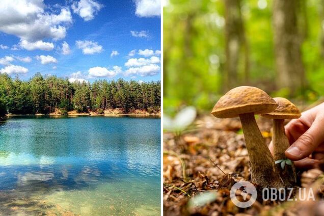 Де в Україні не можна ходити в ліс і збирати ягоди, а де – купатися. Список обмежень по регіонах