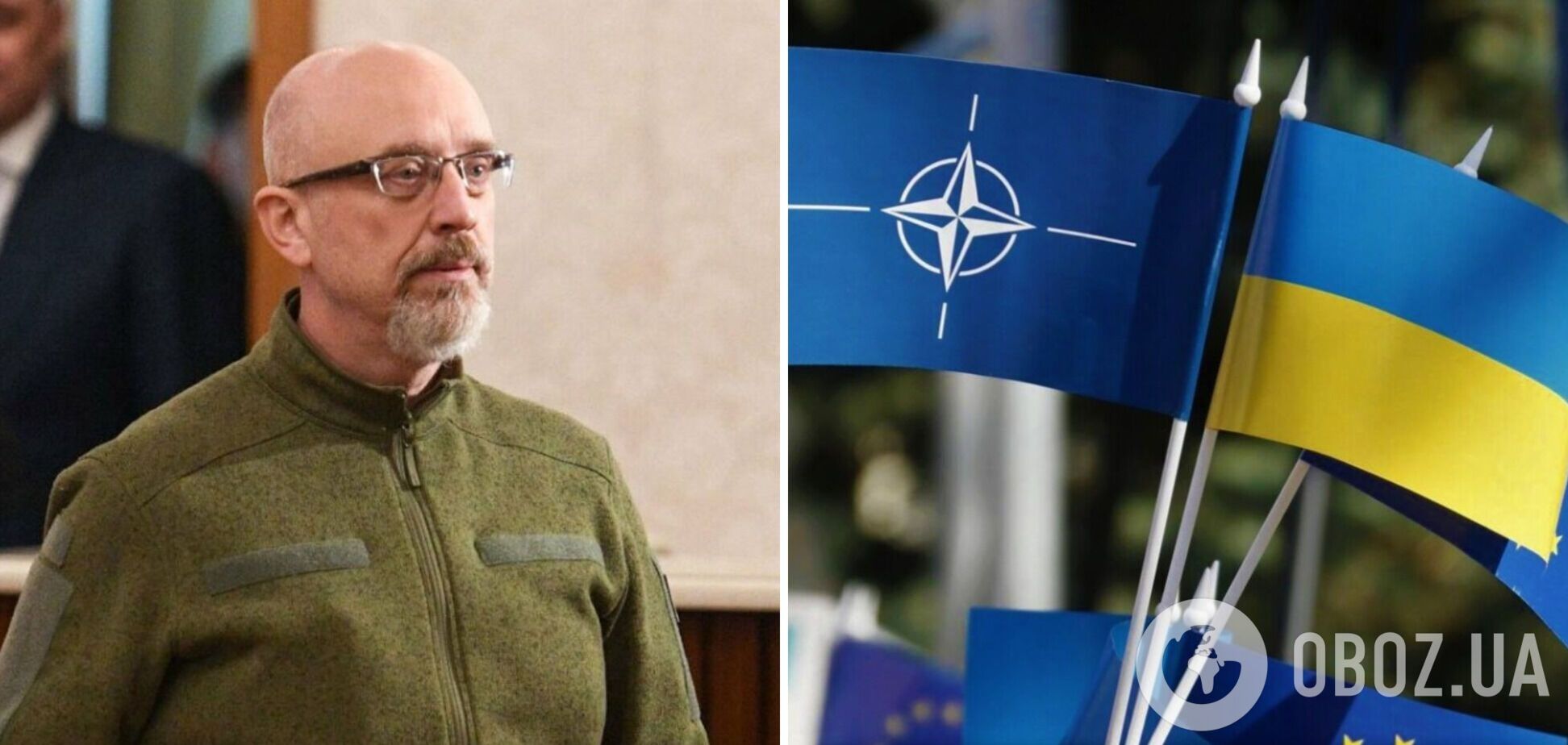 Резніков заявив, що Україна фактично стає членом НАТО