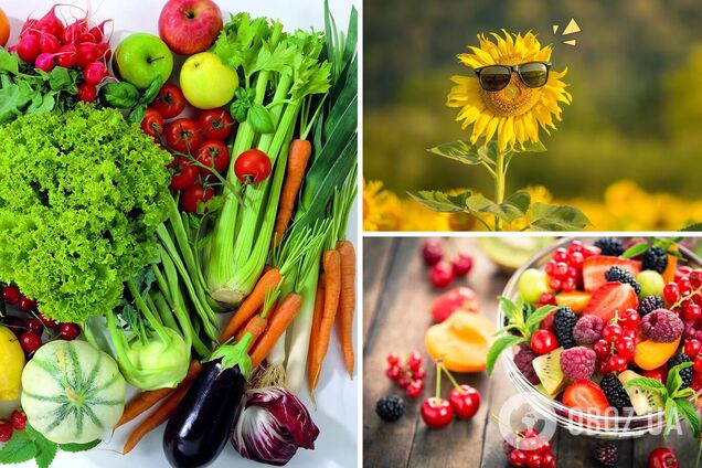 Идеальная еда в летнюю жару