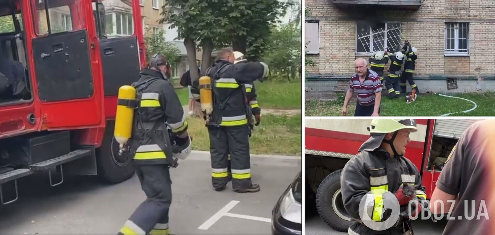 Пожежники врятували кошеня