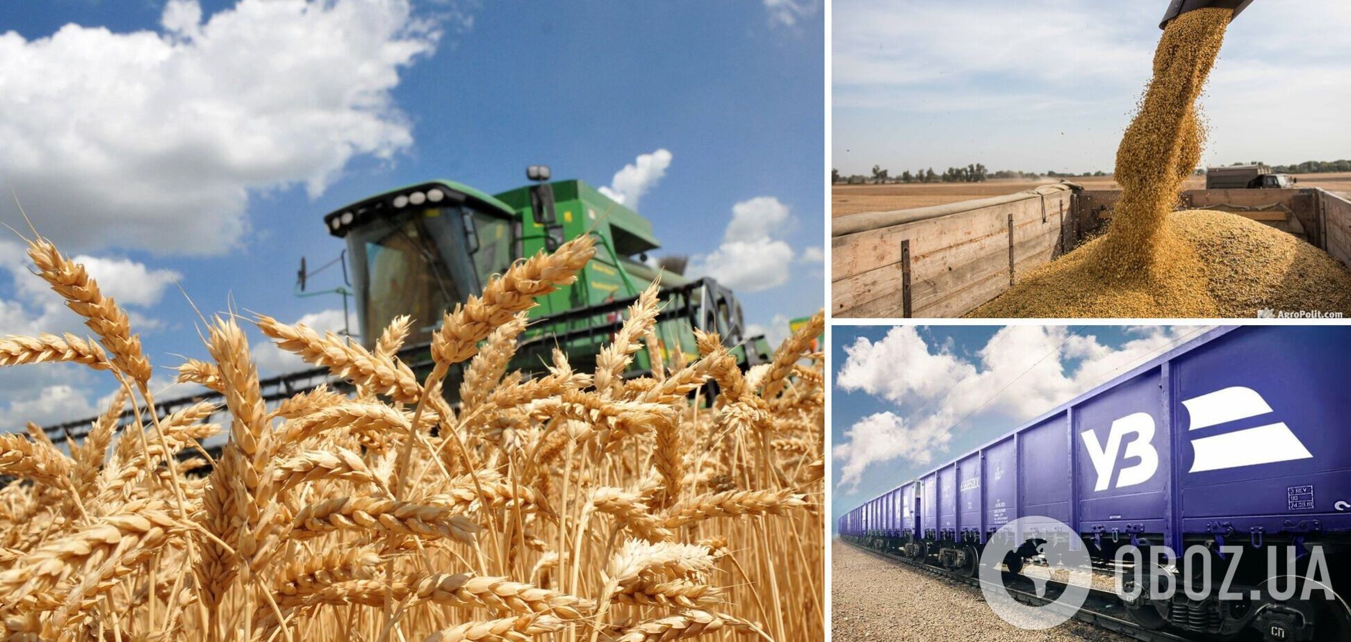 Підвищення тарифів на залізничні вантажні перевезення знищує українських аграріїв – президент УЗА