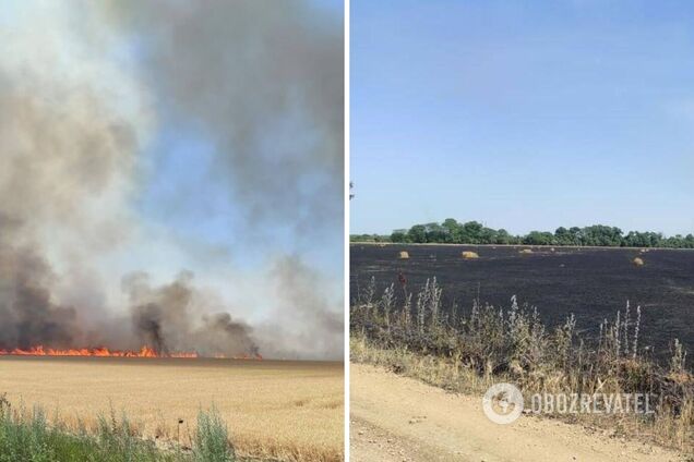 Оккупанты массово уничтожают урожай на Херсонщине: горят целые поля. Фото