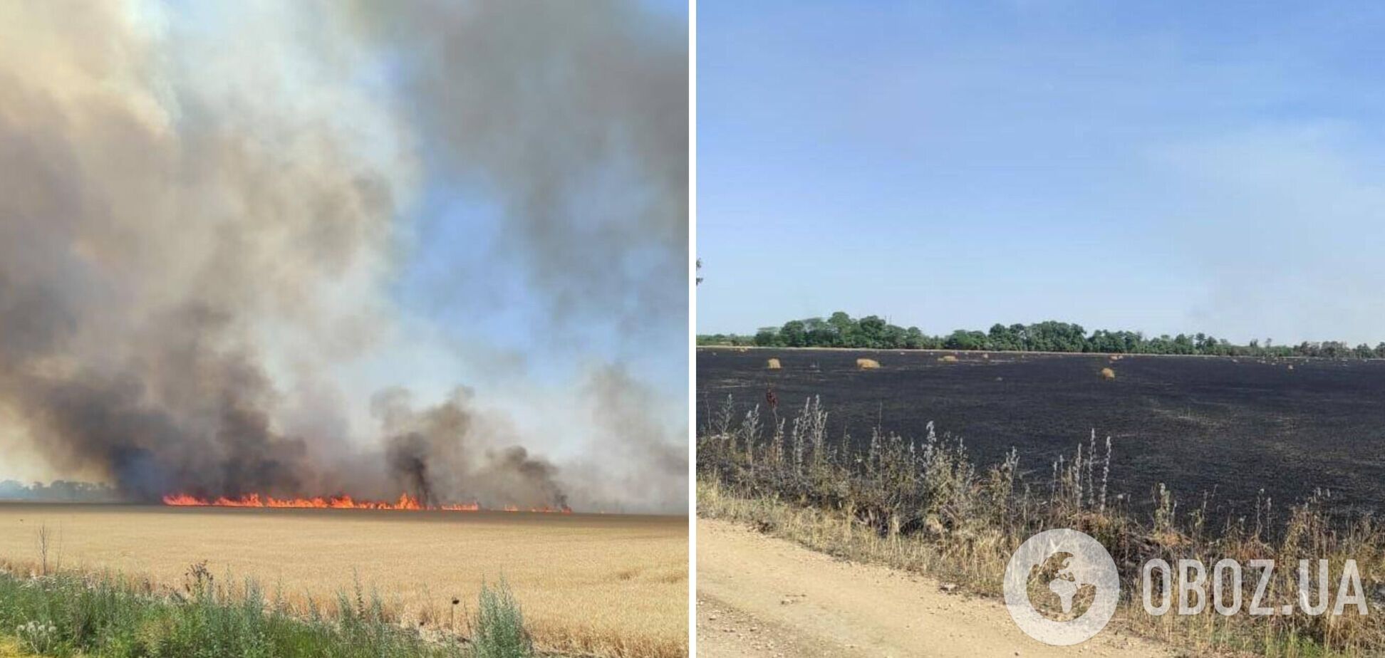 На Днепропетровщине оккупанты обстреляли поля, на десятках гектаров урожай сгорел полностью