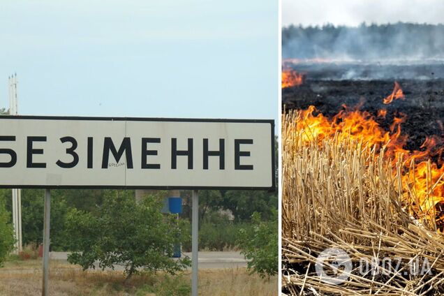 Партизаны работают: под Мариуполем подожгли поле, огонь перекинулся на технику оккупантов