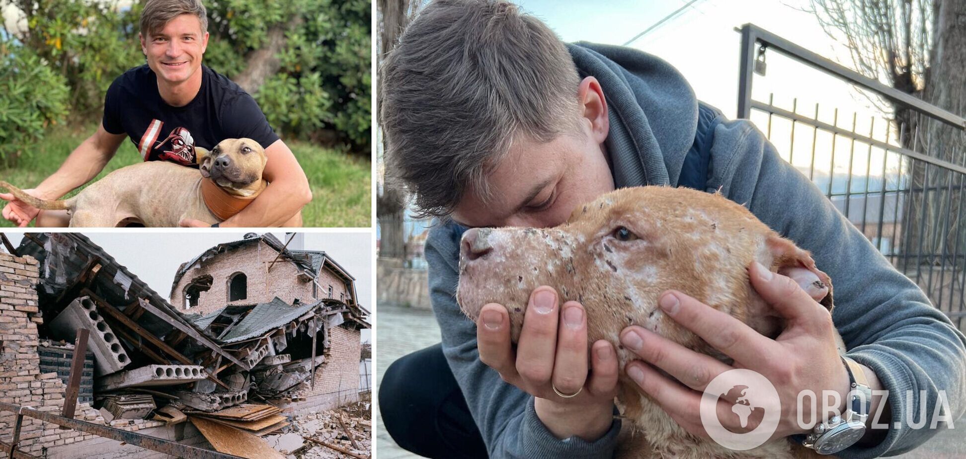 Забросали собак гранатами: чудом выживший в Буче пес Атос улетел в США, а любимицу президента WBC Ukraine убили россияне