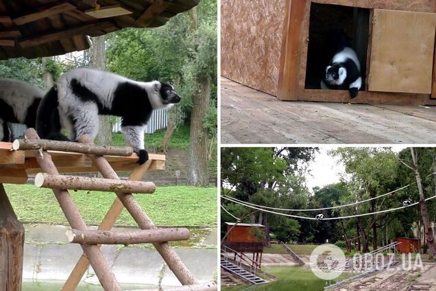 Для приматів створено всі необхідні умови