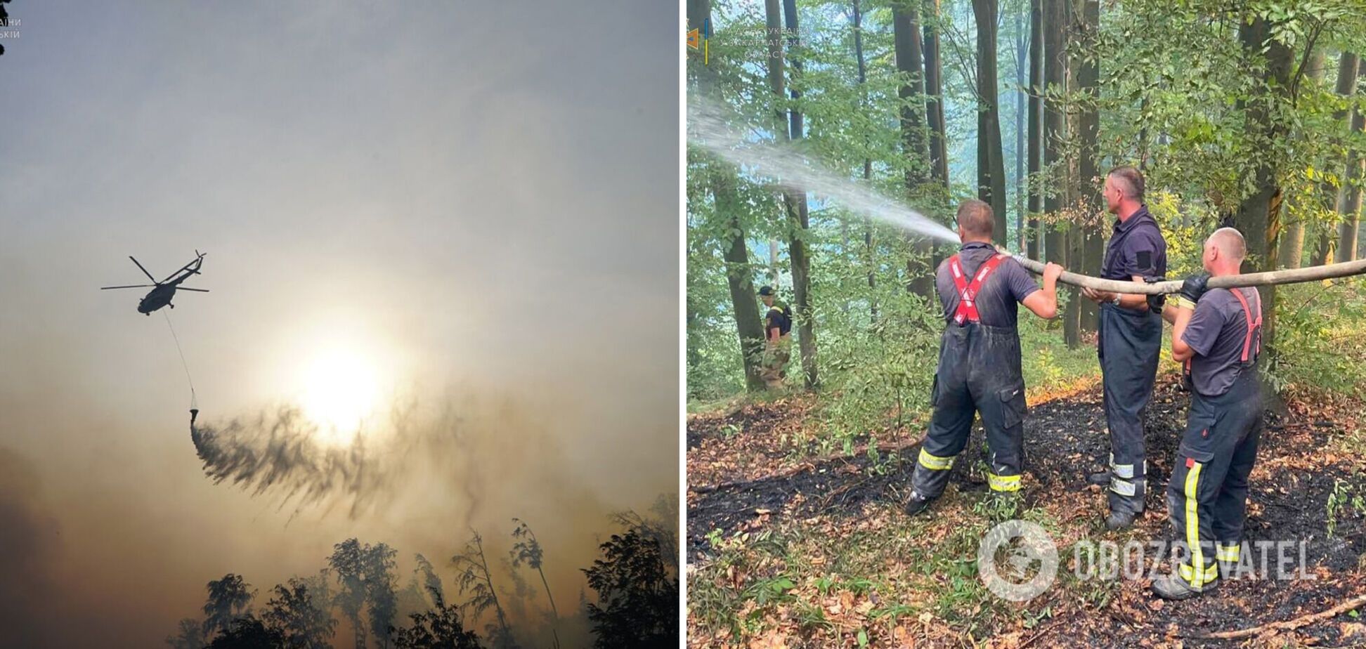 На Закарпатье вспыхнул мощный лесной пожар, к борьбе с огнем привлекли авиацию. Фото и видео