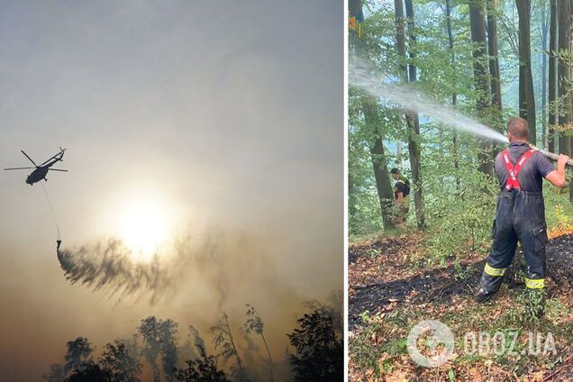 На Закарпатті спалахнула потужна лісова пожежа, до боротьби з вогнем залучили авіацію. Фото і відео 