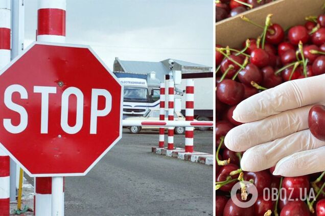 Почему экспорт черешни был провален