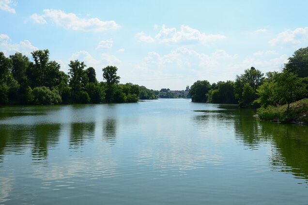 Мертву рибу знайшли на березі річки Рось