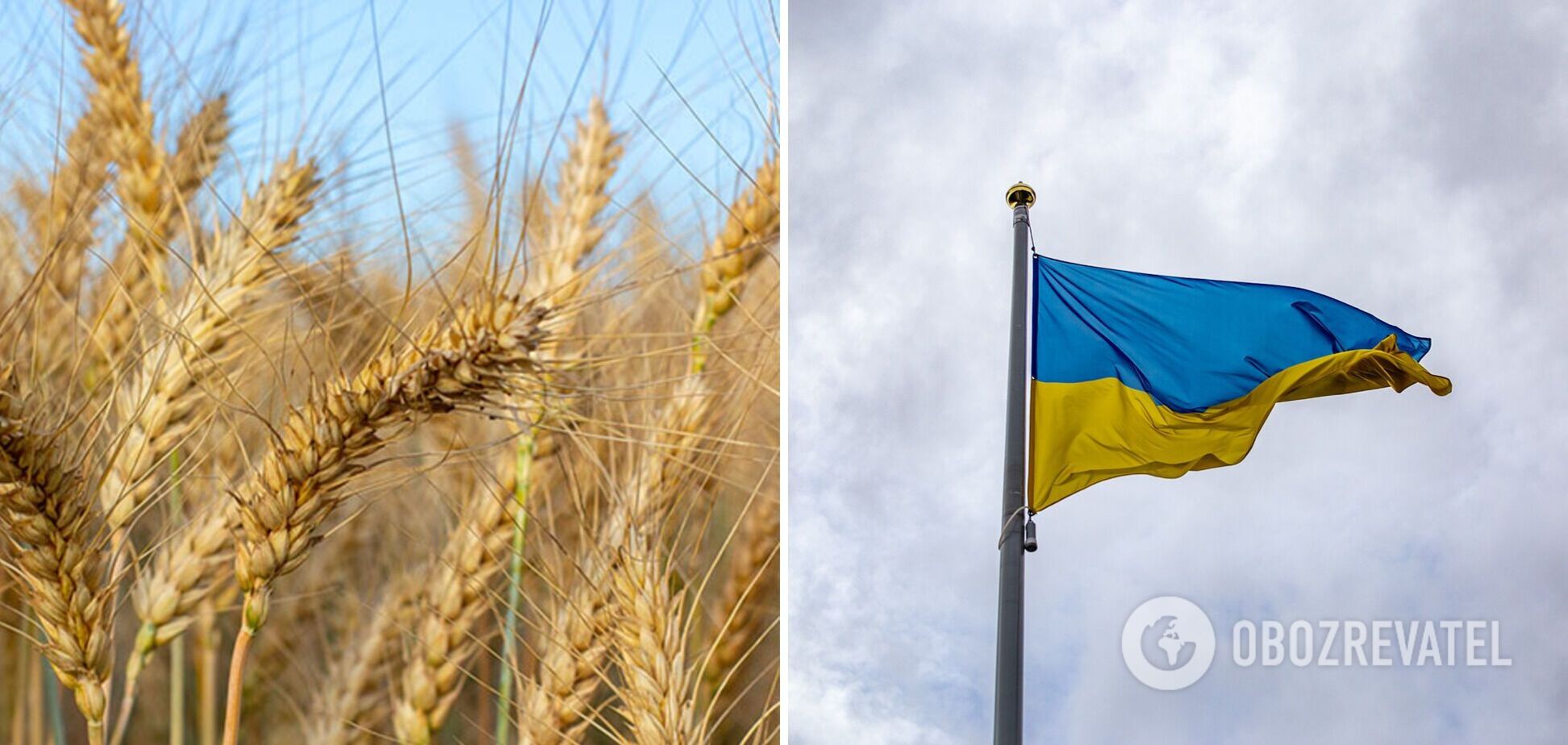 Украина нарастила экспорт пшеницы