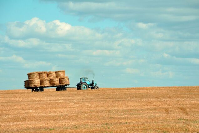 На Київщині аграрії продовжують збирання зернових