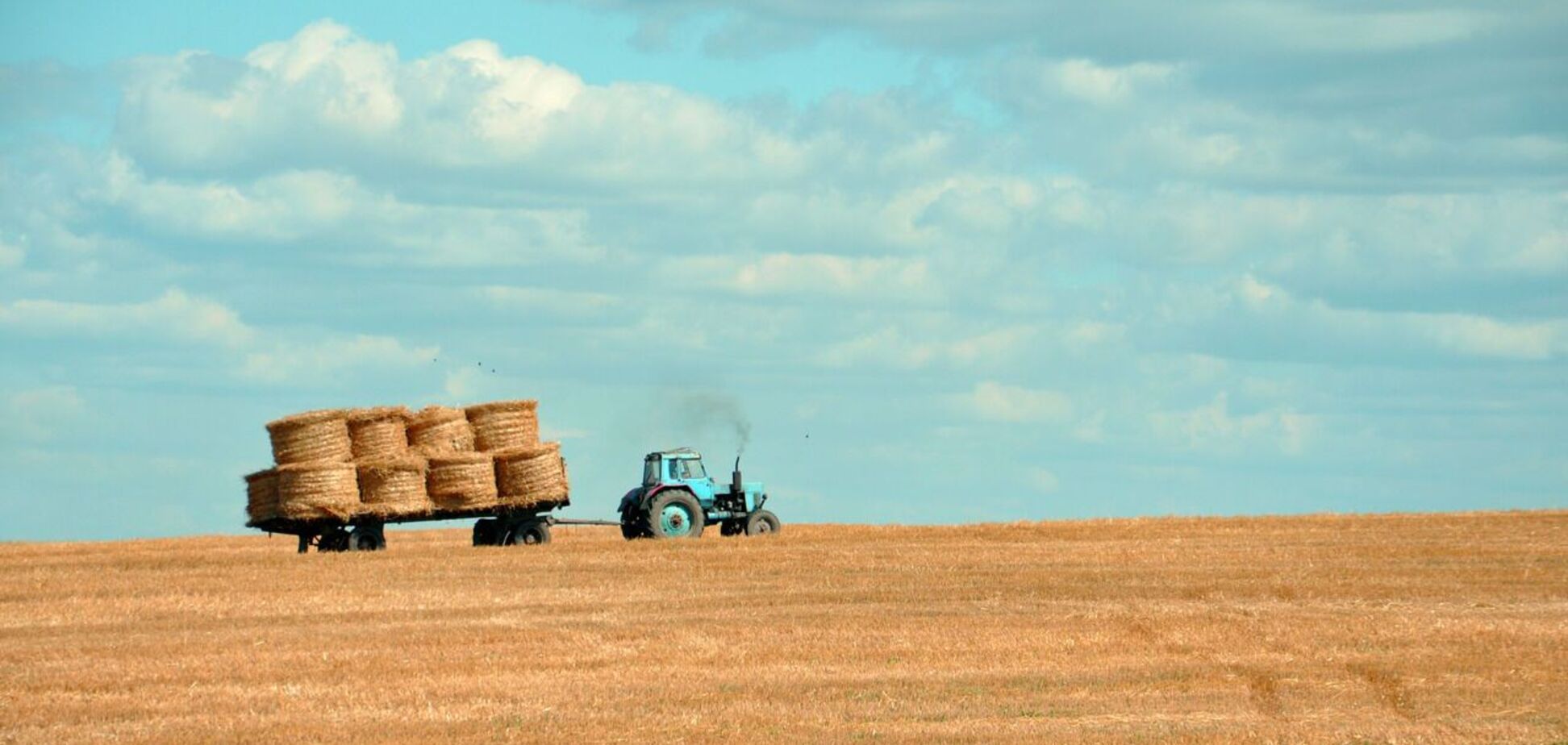 На Київщині аграрії продовжують збирання зернових