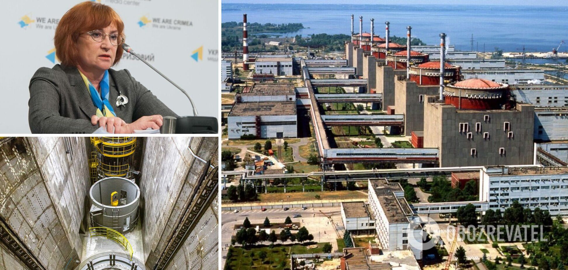 Кошарная: расплавление реакторов ЗАЭС возможно через 3 часа после отключения питания, радиация может накрыть Кубань. Интервью