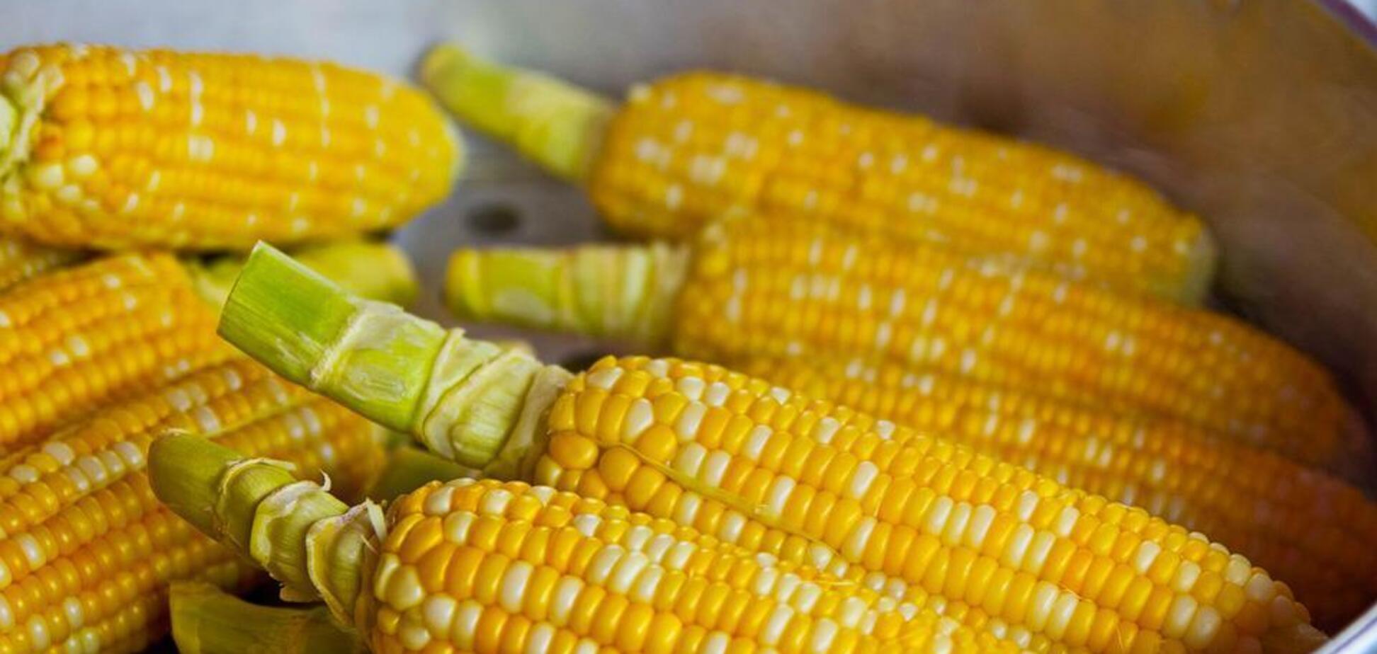 Запеканка из молодой кукурузы, которую можно даже детям: очень нежная и полезная