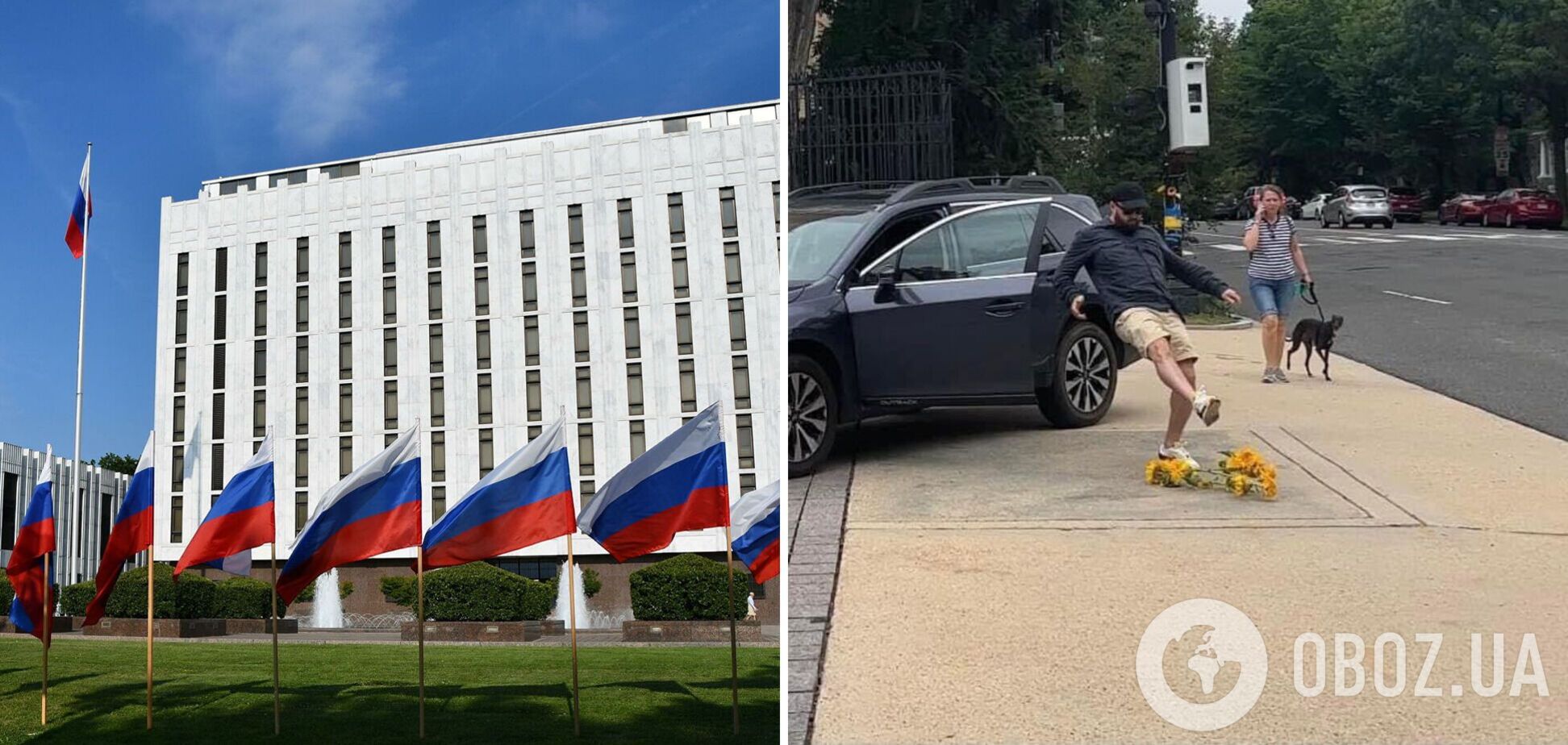 Сотрудник посольства РФ в США растоптал подсолнухи у здания, которые принесли дети. Фото