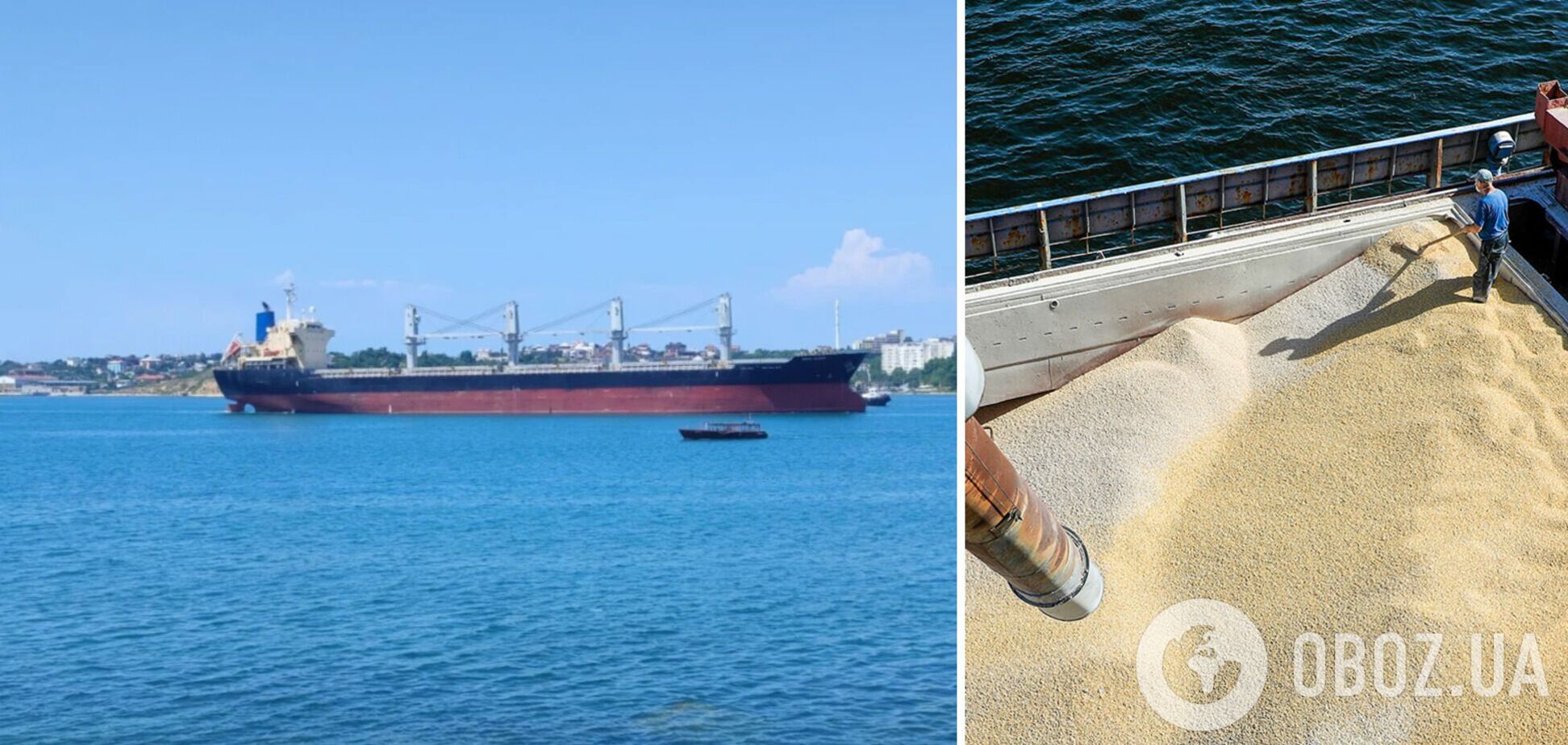 'Михаила Ненашева' вновь поймали на перевозке украинского зерна