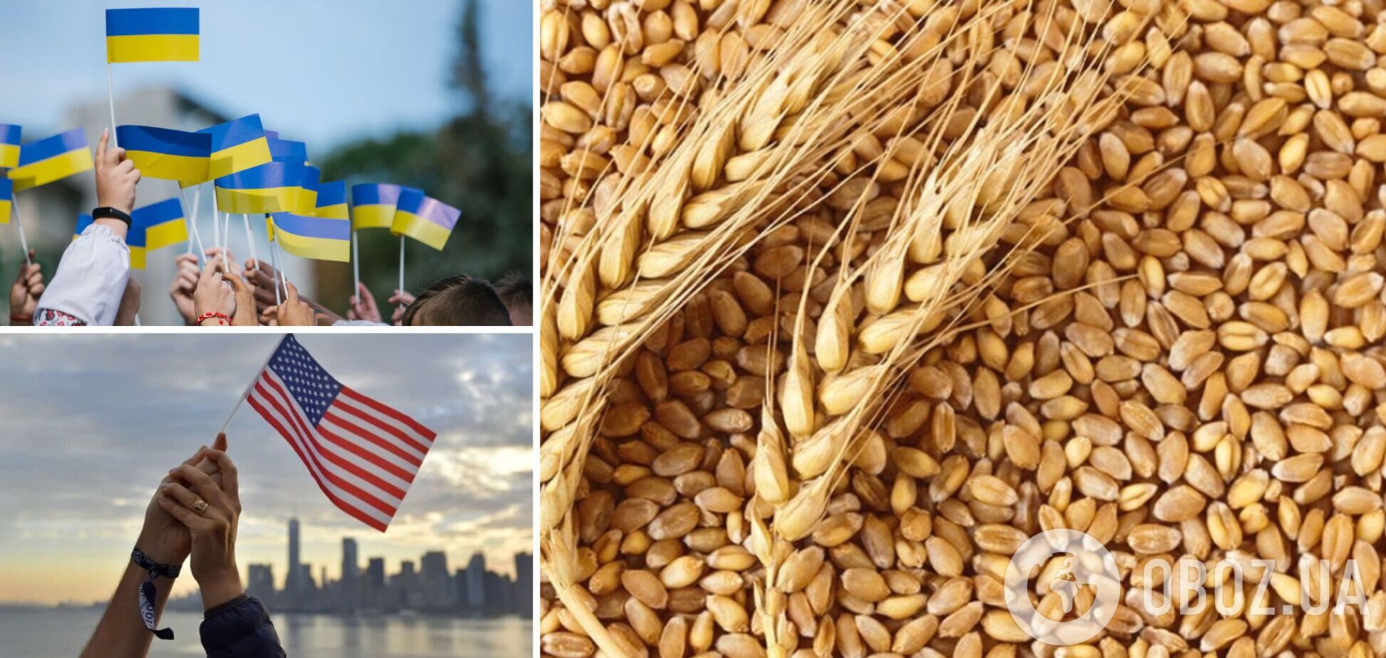США закуплять в України величезну партію зерна