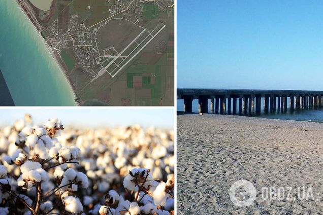 Бавовна в Крыму