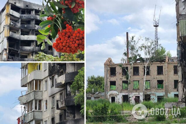 Как сейчас выглядит Бородянка, в которой зверствовали оккупанты. Фото и видео