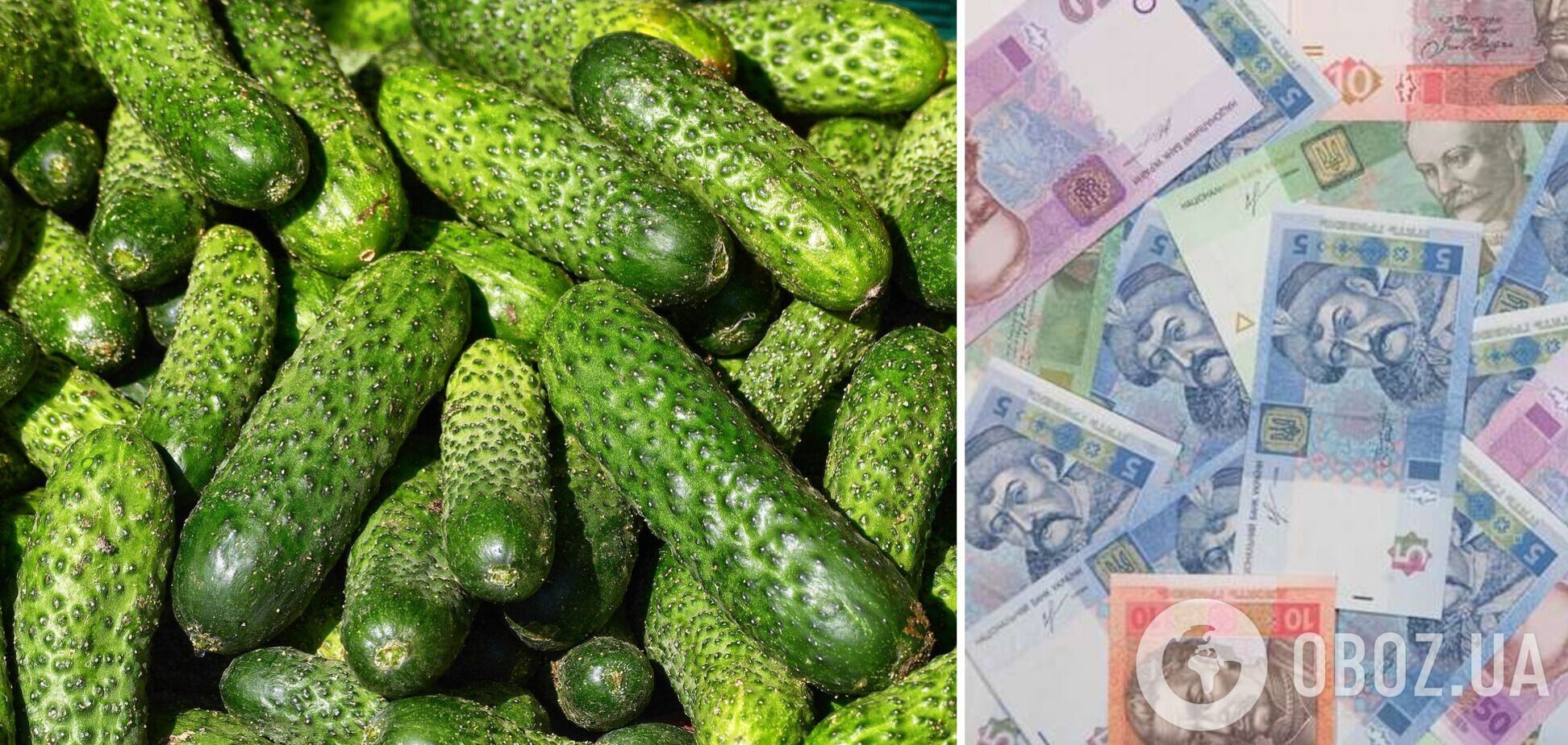 В Украине изменилась стоимость огурцов