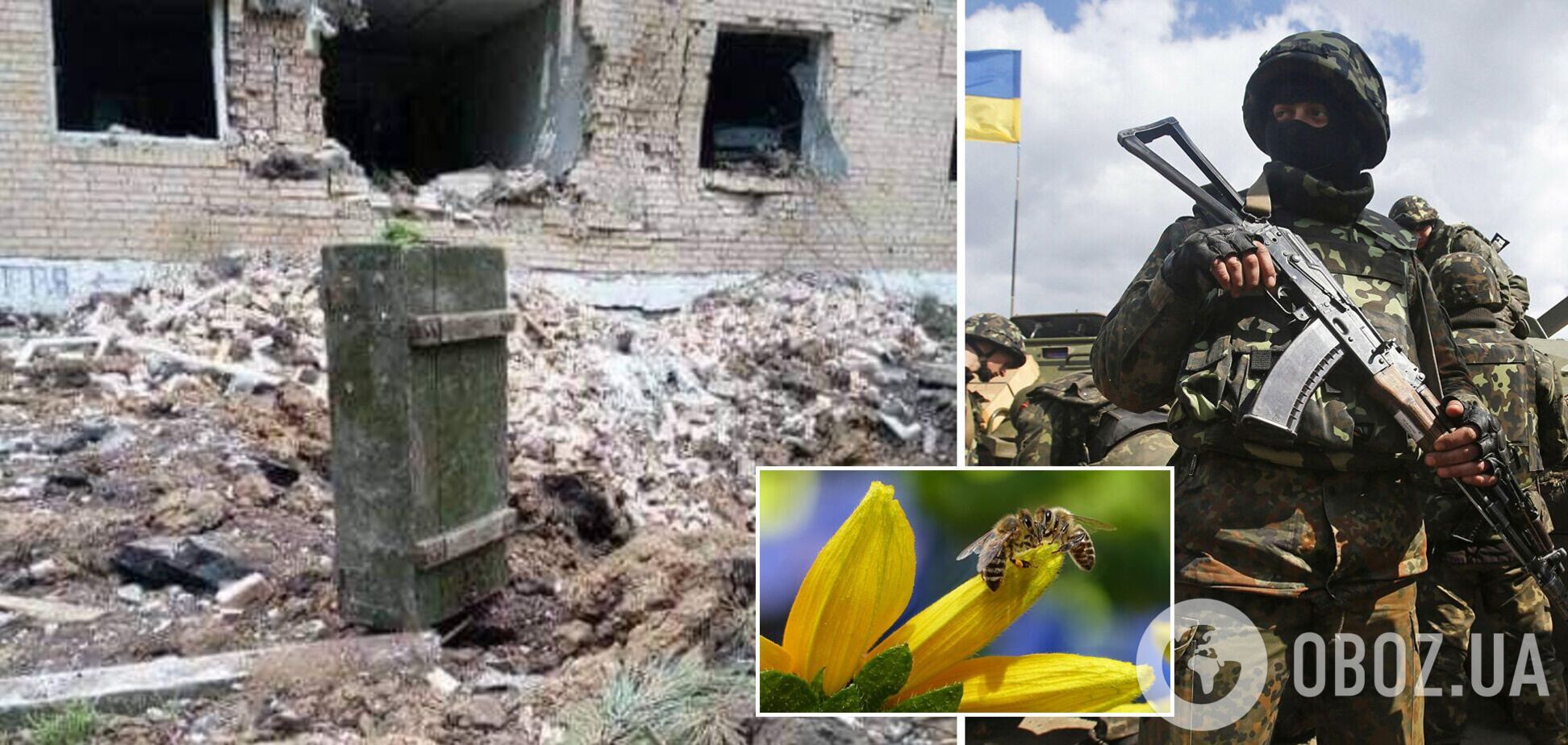ЗСУ у Бахмуті подбали про бджіл