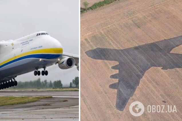 Украинский скульптор создал 80-метровую тень самолета 'Мрія' на пшеничном поле в Дании. Фото