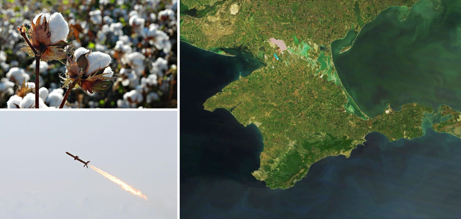 Хлопок у Криму