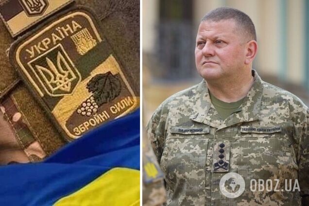 'Жодна жертва не стане марною': Залужний звернувся до українців у День памʼяті захисників України