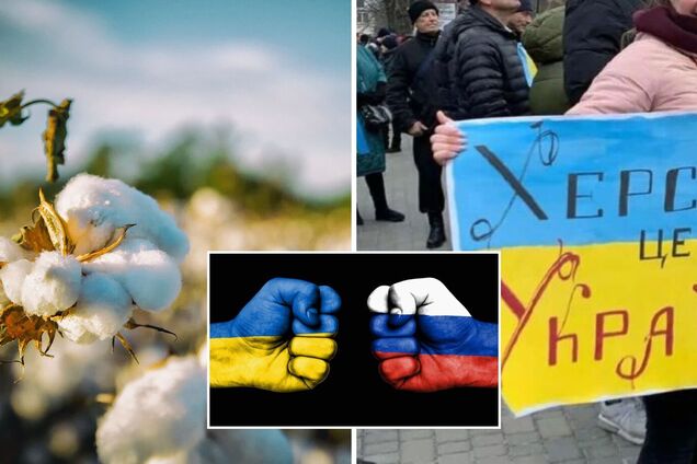 Бавовна в Херсонской области