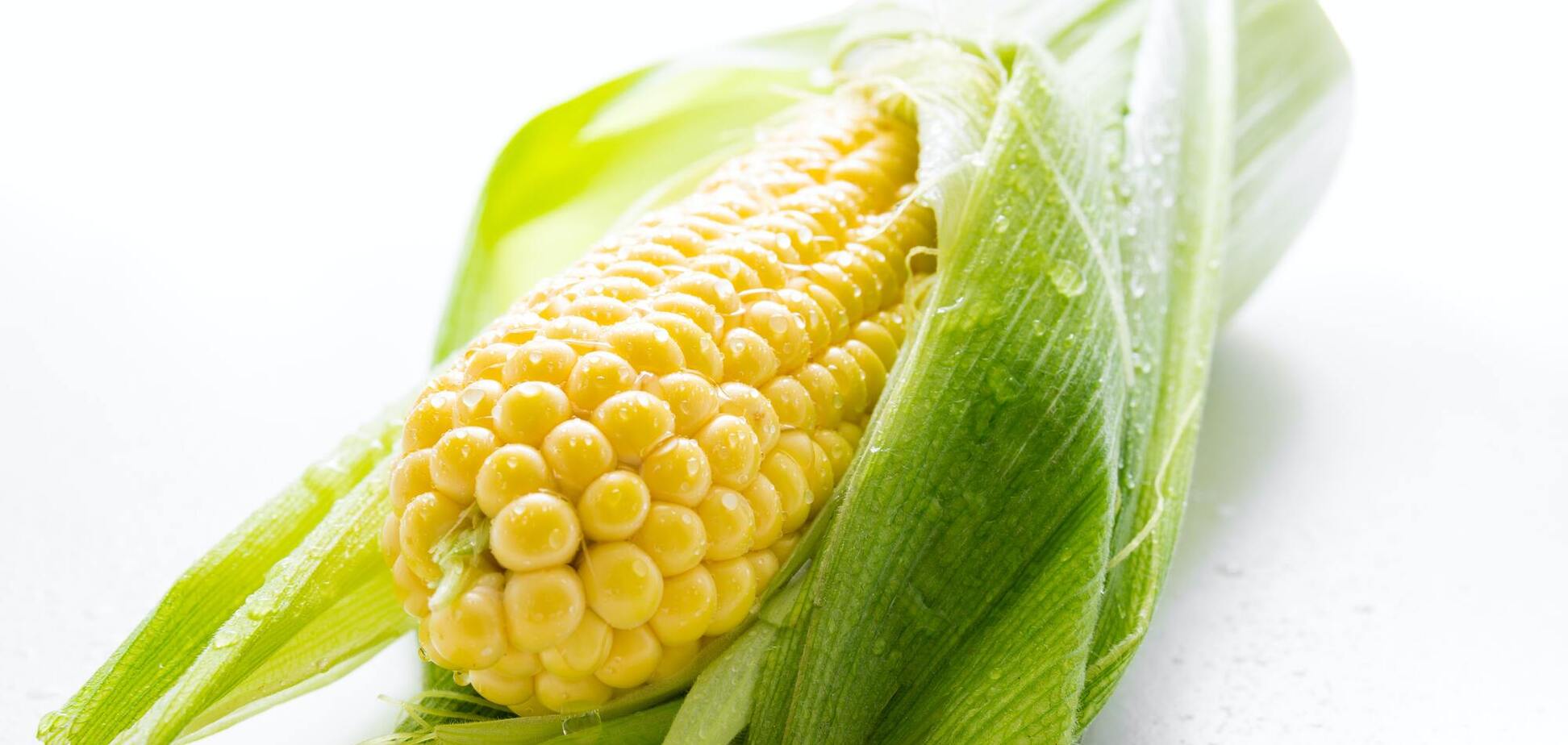 Молодая кукуруза