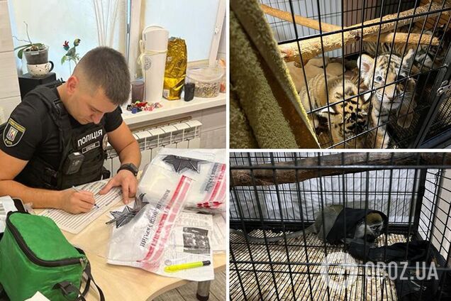 Животных передали в столичный зоопарк