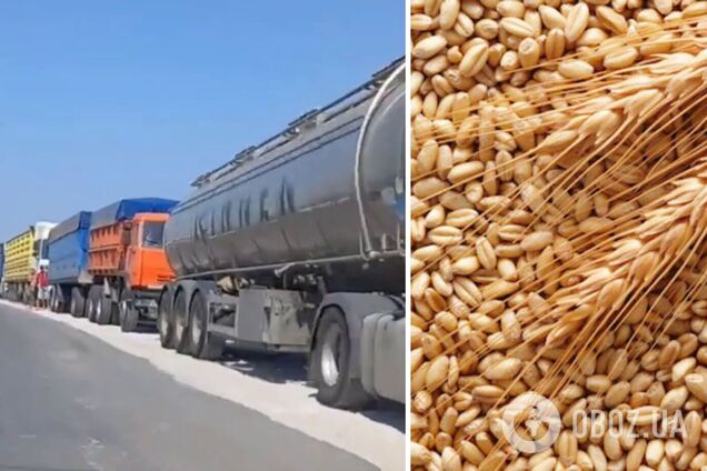 Россияне массово вывозят в Крым украденное у Украины зерно