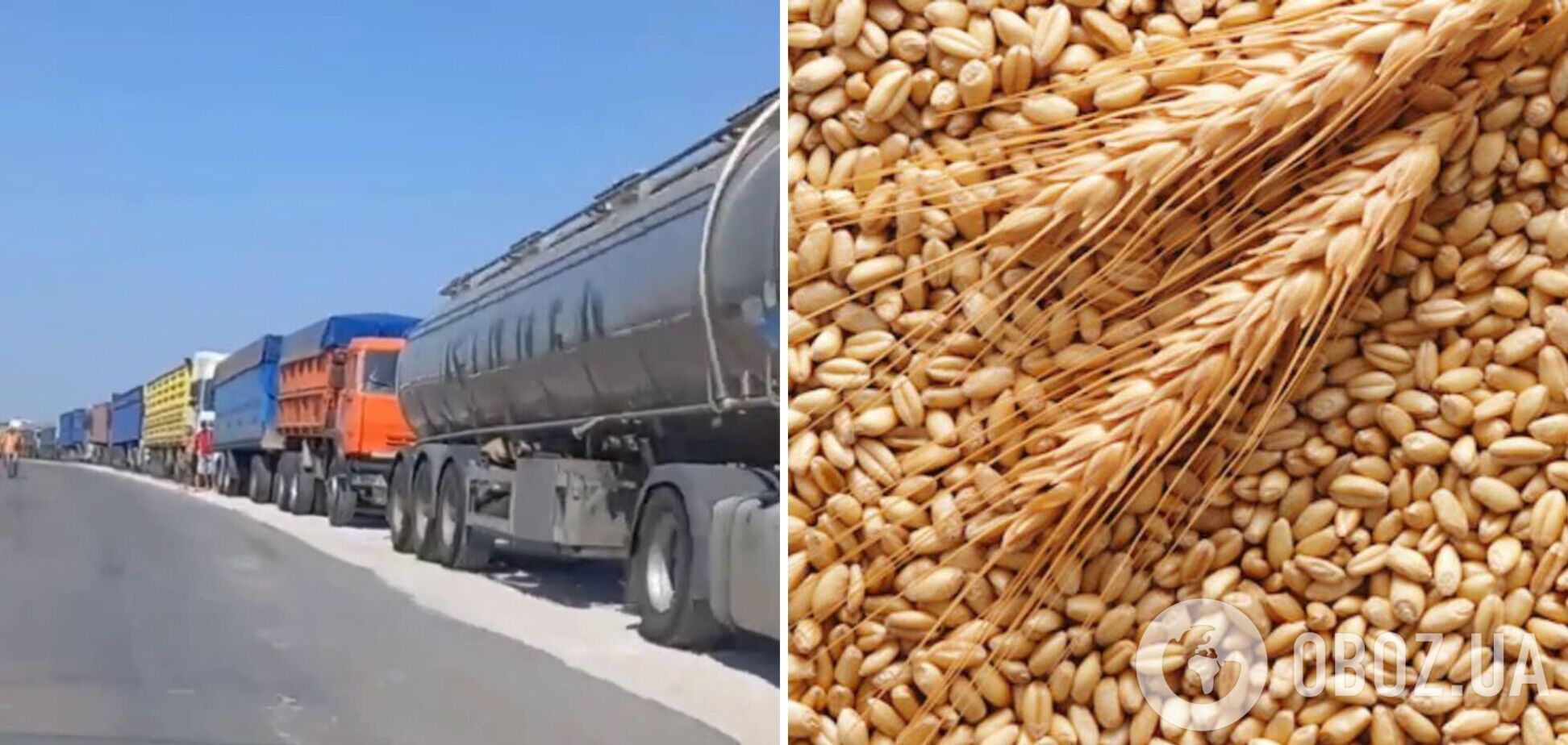 Россияне массово вывозят в Крым украденное у Украины зерно