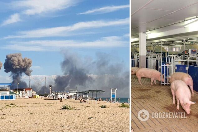 Окупанти в Криму після 'бавовни' почали ховати військові склади на свинофермах