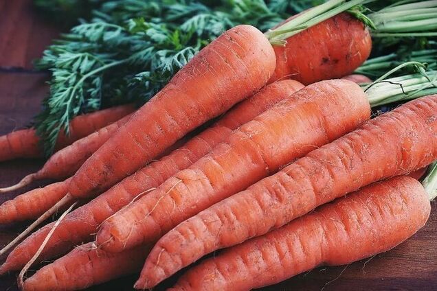 Морква для підливи