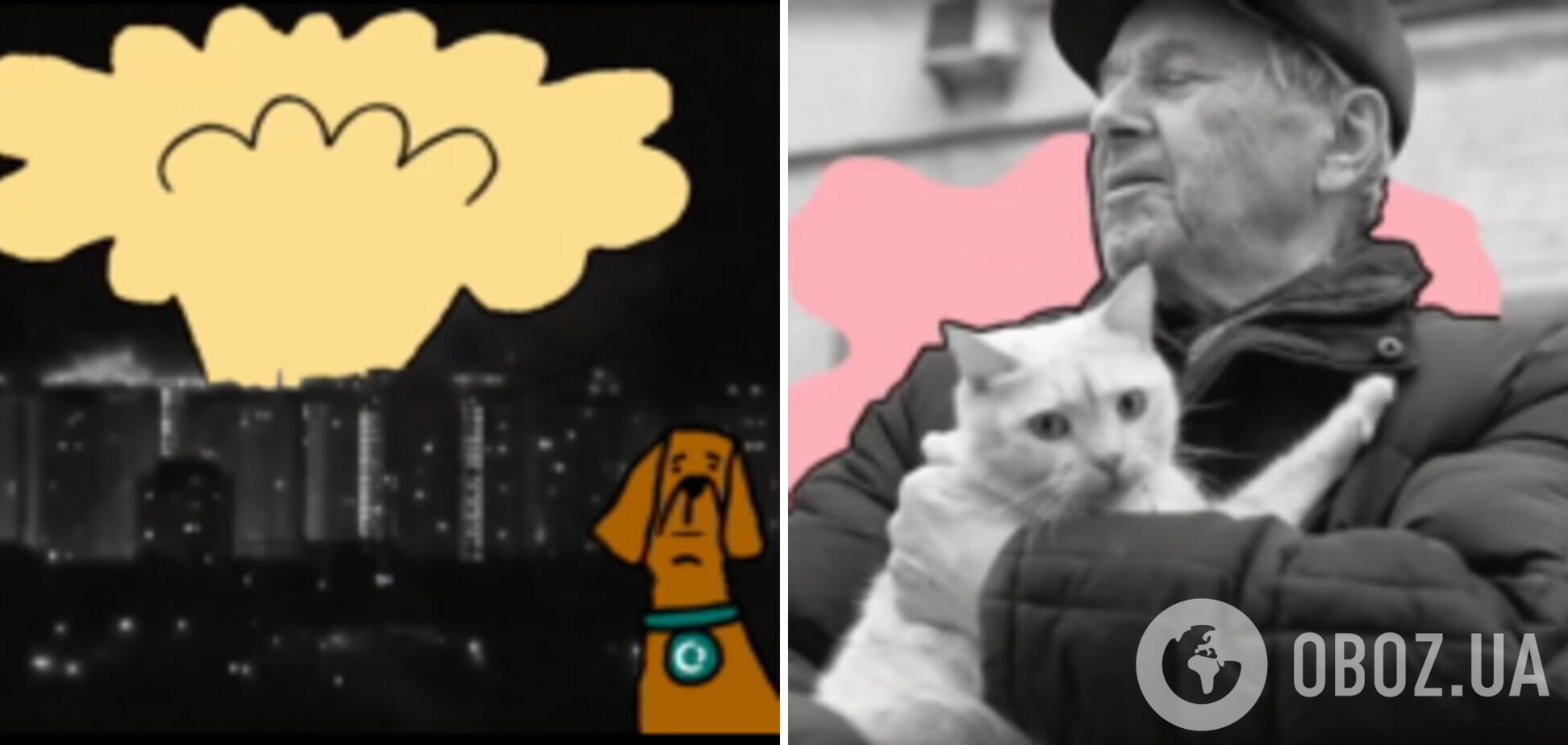 'Вони не кинули нас!' Мережу розчулило відео про українців, які рятують тварин під час війни