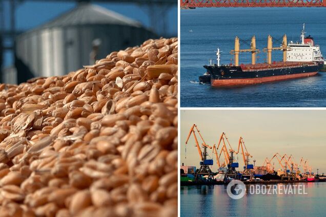 Более 50 фиктивных компаний пытались незаконно вывезти из Украины зерно